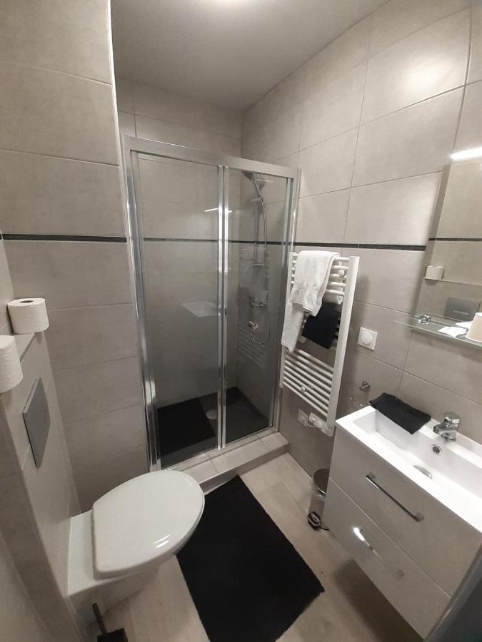 Les Appartements Du Saint Hubert Arcis-sur-Aube Esterno foto
