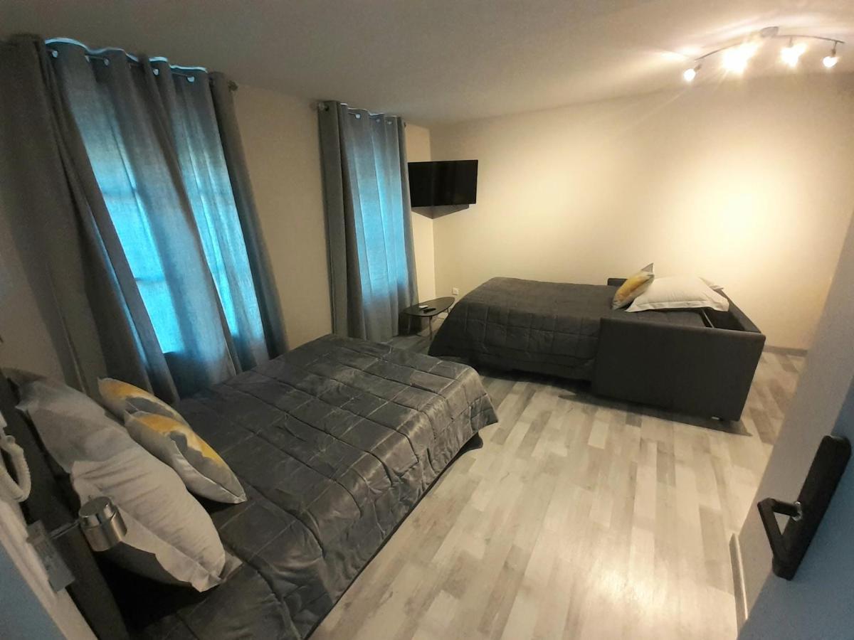 Les Appartements Du Saint Hubert Arcis-sur-Aube Esterno foto
